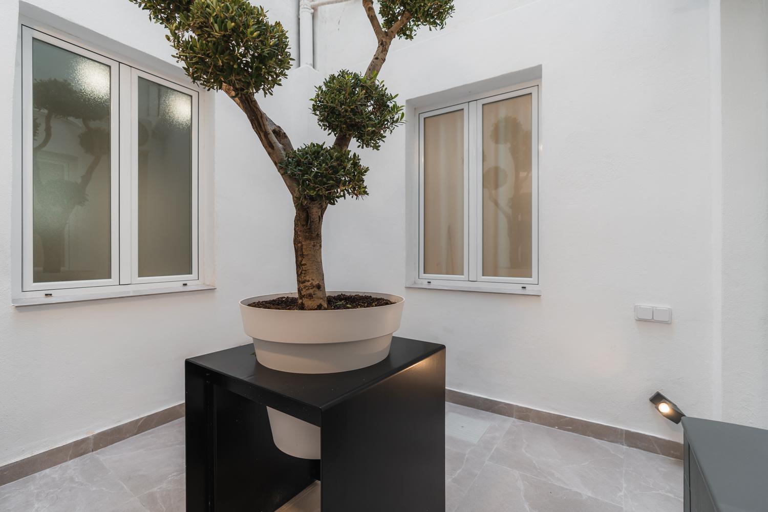 Tuguest Buensuceso Apartment غرناطة المظهر الخارجي الصورة